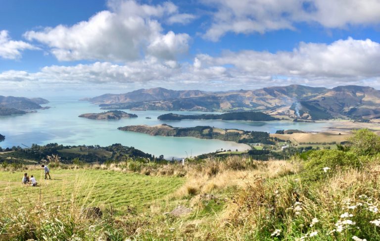 New Zealand’s South Island: Welcome to Middle Earth! Earthquakes, Albatrosses, and Breathtaking Landscapes Everywhere