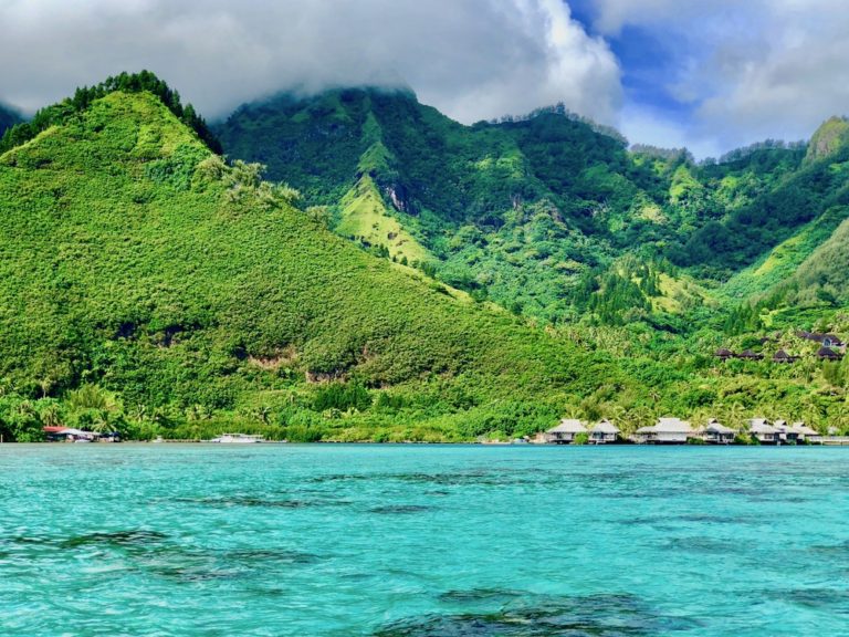 Tahiti and Moorea: Manta Rays, Sharks, and the Lure of Distant Islands