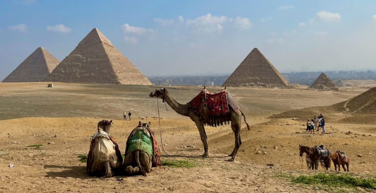Ancient Egypt: Claustrophobic Pyramids, Hissing Camels, and the Gauntlet of Touts